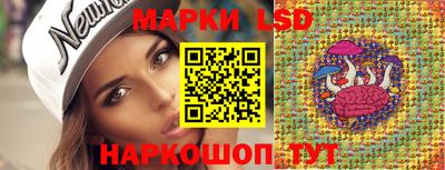 mdpv Брянск