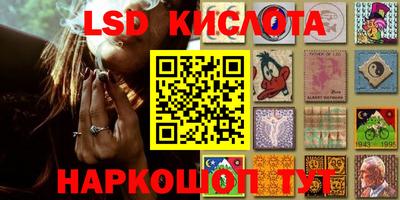 mdpv Брянск