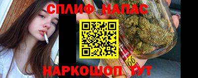 mdpv Брянск