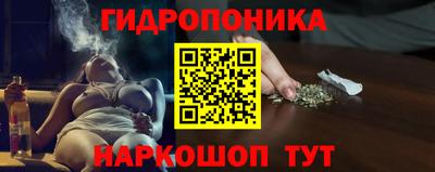 mdpv Брянск