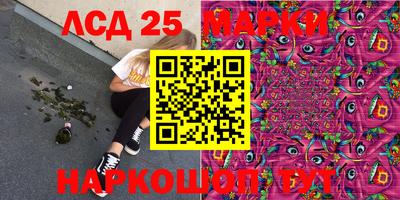 mdpv Брянск