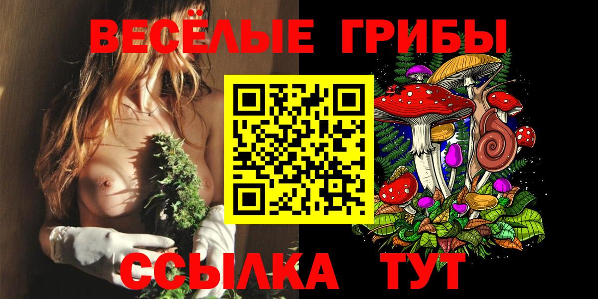 Коммунар  Галлюциногенные грибы Psilocybe  Вход с VPN 