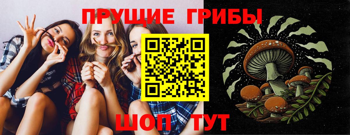 Псилоцибиновые грибы MAGIC MUSHROOMS Коммунар